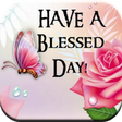 Icono de programa: Everyday wishes and bless…