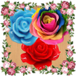 Icono de programa: Rose Garden free games of…