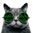 Icon of program: Cat VPN Free - Internet F…