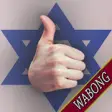 Icon of program: Israel Army Defense Force…