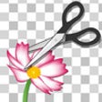 Icon of program: Edge Tracer -Superimpose-
