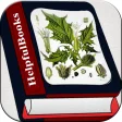 Icon of program: Herbal medicines free
