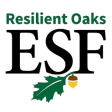 Icon of program: Resilient Oaks