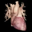 Icon of program: Cardiological - iPhone Ed…
