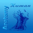 Icon of program: Human Anatomy Free 2016