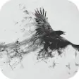 Icon of program: Animated Ink Raven Live W…