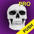 Icon of program: Halloween Countdown Pro w…