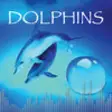 Icon of program: Fun Dolphin Sounds Editio…