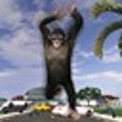 Icono de programa: Angry Apes VS Monster : C…