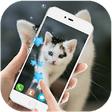 Icon of program: Cute cat Live wallpaper