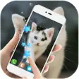 Icon of program: Cute cat Live wallpaper