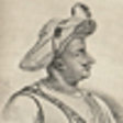 Icono de programa: Tipu Sultan for Windows 8