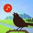 Icon of program: Chirp Bird Songs USA +