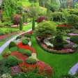 Icon of program: Amazing Yard And Garden W…