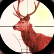 Icon of program: Deer Hunter Expert 2015