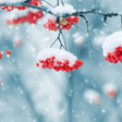 Icon of program: Beautiful Winter Live Wal…