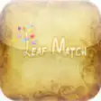 Icon of program: Leaf Match