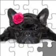 Icon of program: Puppy-Puzzle Animal Jigsa…