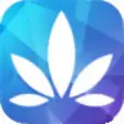 Icon of program: Leafstrain - Cannabis Str…