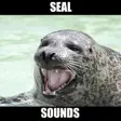 Icon of program: Seal Sounds & Seal Barkin…