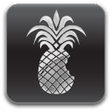 redsn0w icon