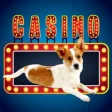 Icon of program: Lucky Pup Wild Casino