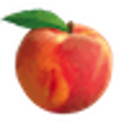 Icono de programa: Peach State FCU