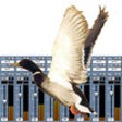 Icon of program: Duck Call Mixer