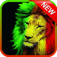 Icono de programa: Dancehall Music Ringtones
