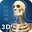 Icon of program: My Skeleton Anatomy