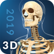 Icon of program: My Skeleton Anatomy
