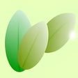 Icon of program: Folario