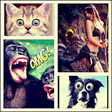 Icono de programa: Funny videos