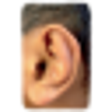 Icono de programa: Dolce Ear Training