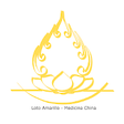 Icon of program: Auriculoterapia Pro - Lot…