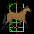 Icono de programa: Dressage Lite for horse r…