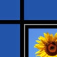 Icon of program: Pics