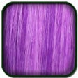 Icon of program: PRO - SSX 3 Game Version …
