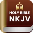 Icon of program: NKJV Audio Bible - New Ki…