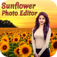 Icono de programa: Sunflower Photo Editor