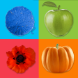 Learning Colors for Kids: Toddler learning games icon