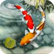 Icon of program: Fish Live Wallpaper free:…