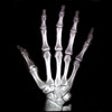 Icon of program: X Ray Vision