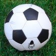 Icon of program: Soccer Dad