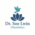Icon of program: ဓမမလမ ၃၆၅ Dr. Soe Lwin