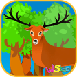 Icon of program: W5Go Forests