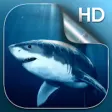 Icon of program: Shark Live Wallpaper