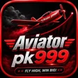 Icon of program: pk999 paisa wala game