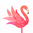 Icon of program: Yome Live