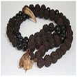 Icono de programa: Rudraksha Numerology